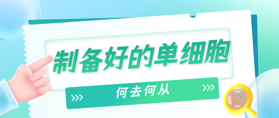 制备好的单细胞，何去何从？