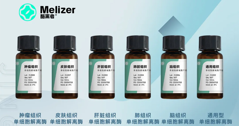 无保存液极限逆袭，胶质瘤组织斩获90%+高活性悬液！！