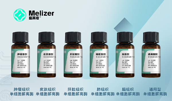 从组织到单细胞的跨越，如何一步搞定？