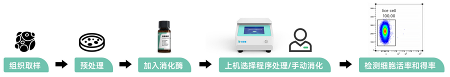 单细胞悬液制备方法