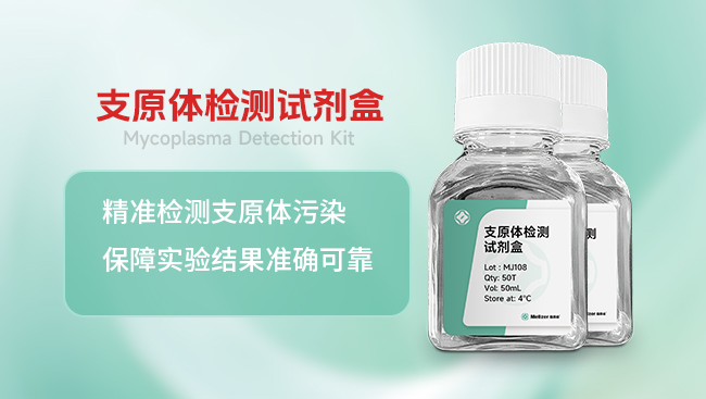 支原体检测试剂盒