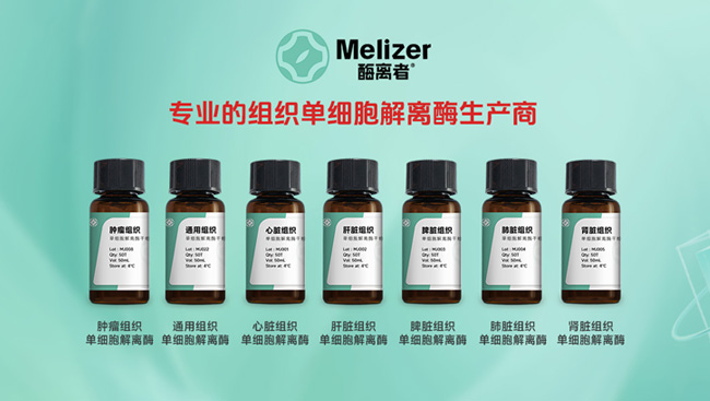 组织单细胞解离酶