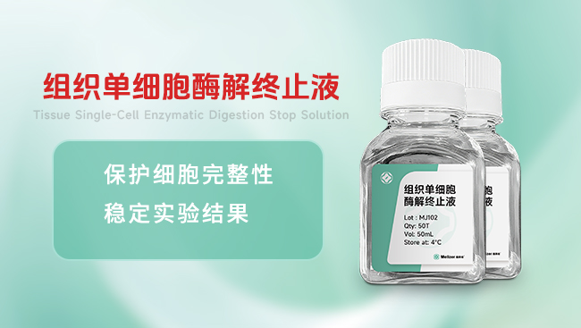 组织单细胞酶解终止液