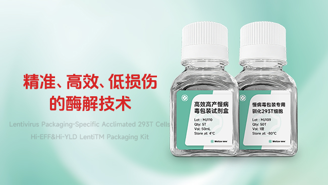 慢病毒包装