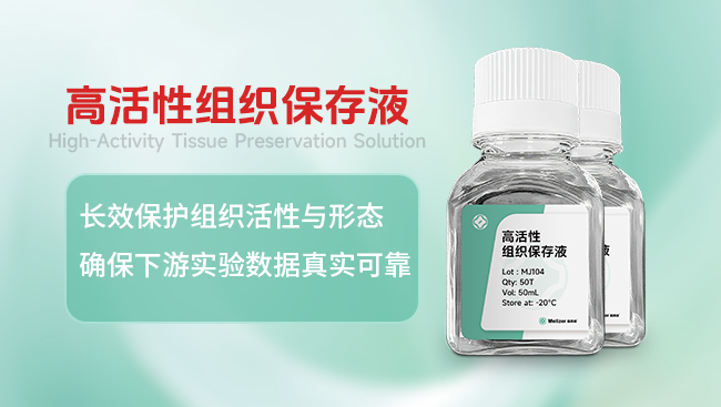 高活性组织保存液